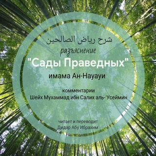 Telegram profile photo for Хадисы Пророка ﷺ