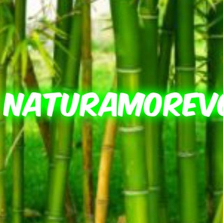 Telegram profile photo for naturamorevole