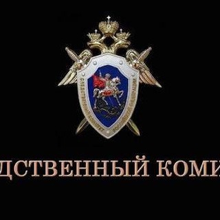 Telegram profile photo for Юный СледКом