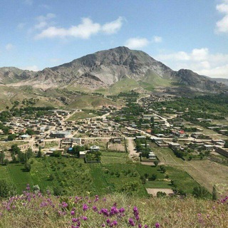 Telegram profile photo for کانال بیرک و بیرکی ها