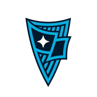 Telegram profile photo for Академия «Родина»