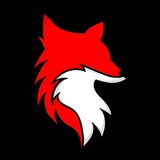 Telegram profile photo for 𝗦𝗧𝗗 𝗙𝗢𝗫- مـتـࢪوڪ