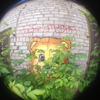 Telegram profile photo for панелька
