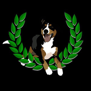 Telegram profile photo for Спортзал для собак