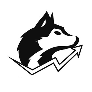 Telegram profile photo for The Best Wolf Crypto