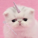 Telegram profile photo for ня бака каваи