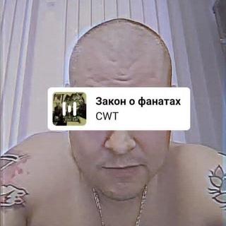 Telegram profile photo for Заметки Павла Тигре 🩼