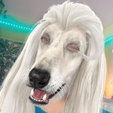 Telegram profile photo for Lola kozlova
