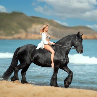 Telegram profile photo for 🐎Конный клуб "ВладКонТур"🐎 Владивосток