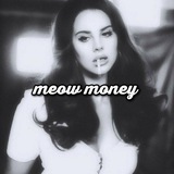Telegram profile photo for meow money || заработок на отзывах