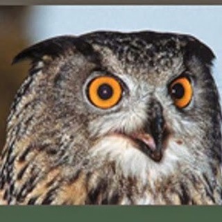 Telegram profile photo for Trazos de aprendizaje y de experiencia