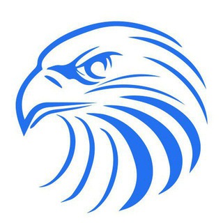 Telegram profile photo for Falcon Trading