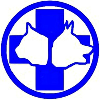 Telegram profile photo for Крошка Енот 🦝