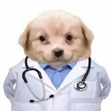 Telegram profile photo for MEDICINE daily || 🩻