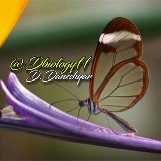 Telegram profile photo for D.biology11