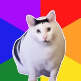 Telegram profile photo for $BEN Chonky Cat