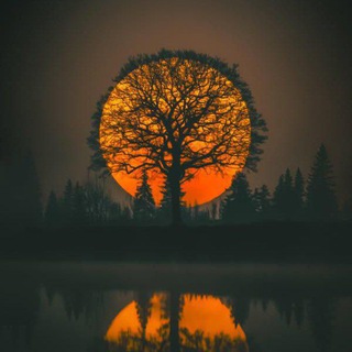 Telegram profile photo for OK WIN GIFT CODE & PRIDICTION