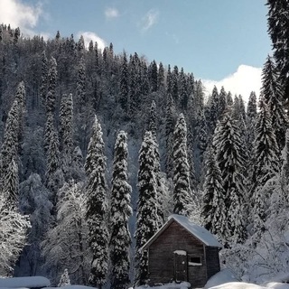Telegram profile photo for Недвижимость Красная Поляна/Сочи