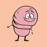 Telegram profile photo for Half-Inch Peter (PETER) : Portal