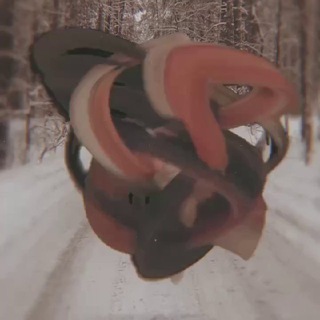 Telegram profile photo for repkaart