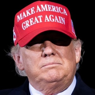 Telegram profile photo for trumpwifhat
