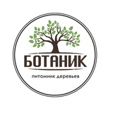 Telegram profile photo for Питомник деревьев BOTANIС
