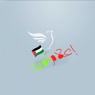 Telegram profile photo for 🇵🇸 إعلام المهند