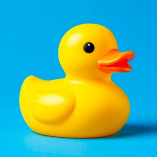 Telegram profile photo for Marbin Duck