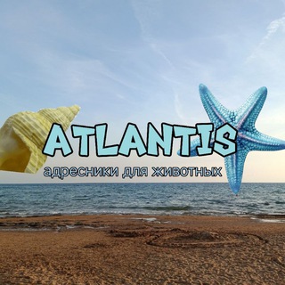 Telegram profile photo for 𝐴𝑡𝑙𝑎𝑛𝑡𝑖𝑠| Адресники для животных