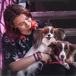 Telegram profile photo for Не взлетим, так поплаваем