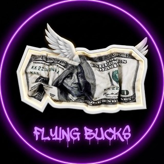 Telegram profile photo for FLYING BACKS 💸