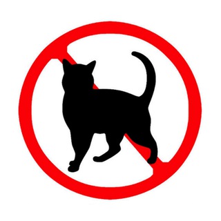 Telegram profile photo for Мемы без Котов