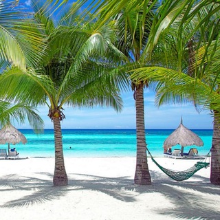 Telegram profile photo for МеМскае Мора 🌴