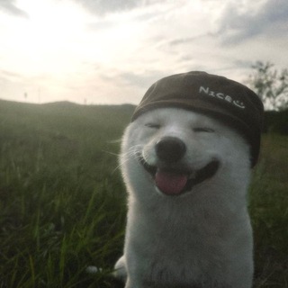 Telegram profile photo for Estate and mitsuu vibe