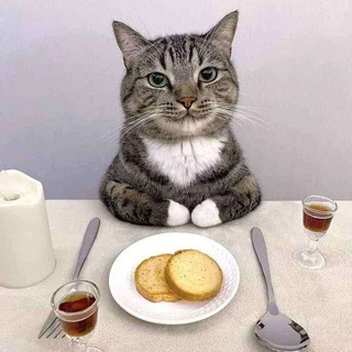 Telegram profile photo for Memes, Memes, Memes