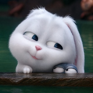Telegram profile photo for snowball