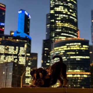Telegram profile photo for Марсель в стране великанов