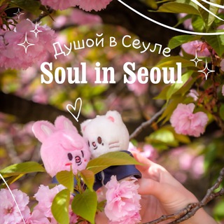 Telegram profile photo for Душой в Сеуле ✨ Soul in Seoul 🔞