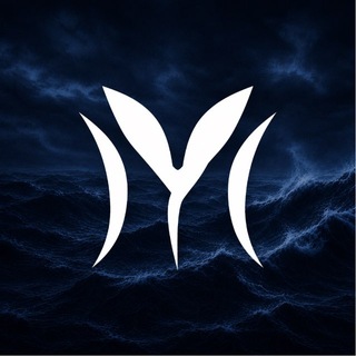 Telegram group profile photo for Meterflow