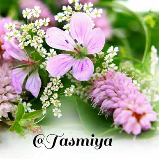 Telegram profile photo for "Tasmiya"