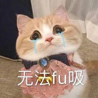 Telegram profile photo for 泡泡Dog | 十八线小机场 | 流媒体稳定