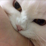 Telegram profile photo for Мемесы для братюнь:3