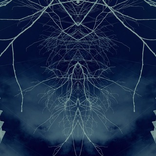 Telegram profile photo for Twilight Tapes Archive