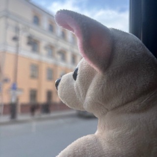 Telegram profile photo for деловые wah