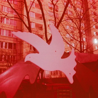 Telegram profile photo for гаддемова проспись