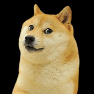 Telegram profile photo for Howl Talk