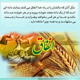 Telegram profile photo for کرامت فدک بندر شرفخانه