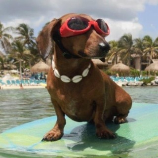Telegram profile photo for LILRES : archive.
