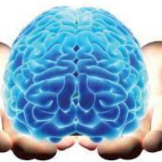 Telegram profile photo for کلینیک توانبخشی شناختی دانشگاه شهید بهشتی