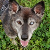 Telegram profile photo for Несуразная